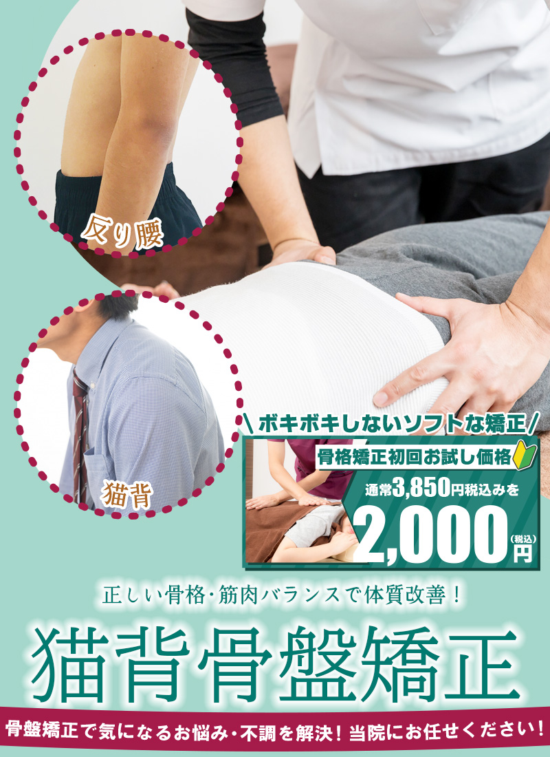 猫背骨盤矯正